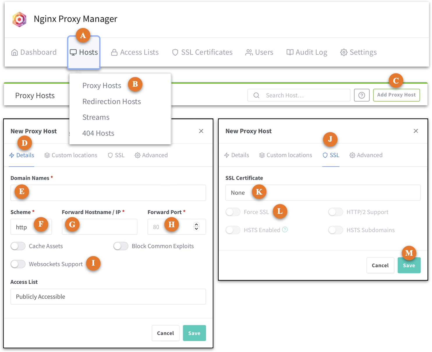 Add proxy host